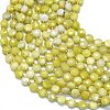 Natural Jade Beads Strands G-K389-B05-01-3