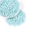 Baking Paint Glass Seed Beads SEED-T007-15L-3