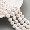 Natural Cultured Freshwater Pearl Beads Strands PEAR-C003-14C-2