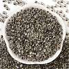 Transparent Inside Colours Glass Seed Beads SEED-A032-04S-2