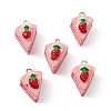 Imitation Cake Resin Pendants RESI-TAC0015-05-1