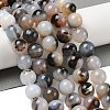 Natural Dendritic Agate Beads Strands G-A248-A07-06-2