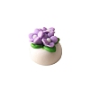 Polymer Clay Potted Plant Miniature Ornaments PW-WGA50CA-06-1