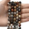 Natural Picasso Jasper Beads Strands G-Z119-A25-01-2