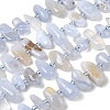 Natural Blue Lace Agate Beads Strands G-L649-A02-01-2