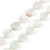 Natural Green Opal Beads Strands G-C116-A13-01A-2