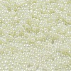 Glass Seed Beads SEED-K009-02B-25-3