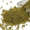 TOHO 11/0 Round Beads X-SEED-TR11-2630F-1