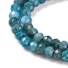 Natural Apatite Beads Strands G-F770-D09-02B-4