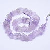 Raw Rough Natural Amethyst Bead Strands G-O119-03B-2