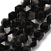 Natural Silver Obsidian Beads Strands G-Z119-A11-03-3