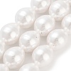 Electroplated Shell Pearl Beads Strands BSHE-H110-01-03-2