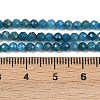 Natural Apatite Beads Strands X-G-E411-36-3mm-01-5