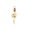 Brass Micro Pave Cubic Zirconia Pendants KK-M321-01E-G02-1