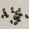 Foam Simulation Olive Model FIND-GF0009-22-7