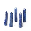 Tower Natural Lapis Lazuli Home Display Decoration PW-WG20981-30-1