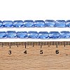 Transparent Glass Beads Strands GLAA-Z018-C18-4