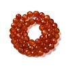 Dyed & Heated Natural Agate Beads Strands G-P539-E01-01-3