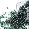 TOHO Round Seed Beads SEED-JPTR11-0118-1