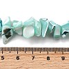 Natural Trochid Shell/Trochus Shell Beads Strands SHEL-B003-02K-4