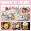 40Pcs 2 Colors House Shaped Kraft Paper Boxes with Ribbon and Window ABAG-PH0001-55-5