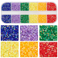 DICOSMETIC 1 Box Pointed Back Resin Rhinestone Cabochons MRMJ-DC0001-09