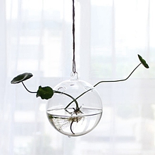 Hanging Glass Plants Planters PW-WG28732-08