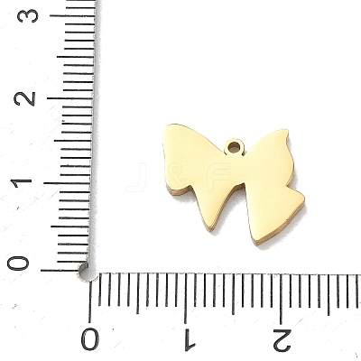 304 Stainless Steel Pendants SA-CBA2714-04C-G-1