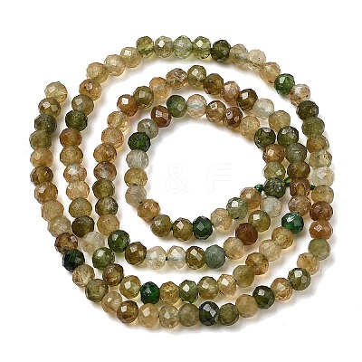 Natural Green Tourmaline Beads Strands G-G294-C01-4x3mm-1
