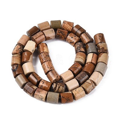 Natural Picture Jasper Beads Strands G-Q606-01A-01-1