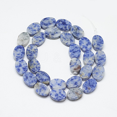 Natural Blue Spot Jasper Beads Strands G-T122-04M-1