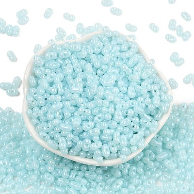 Baking Paint Glass Seed Beads SEED-L011-09A-08-1