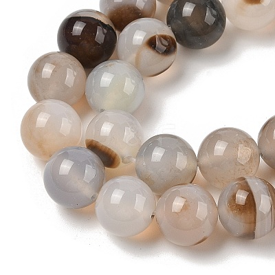 Natural Dendritic Agate Beads Strands G-A248-A07-03-1