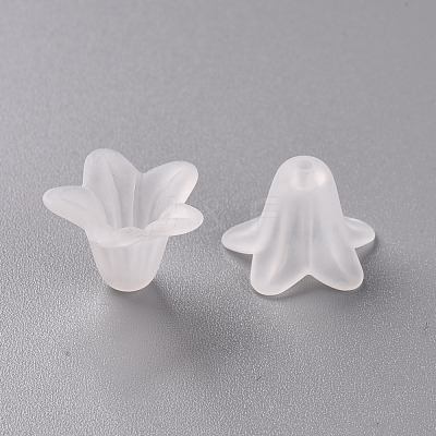 Transparent Acrylic Beads PLF018-01-1