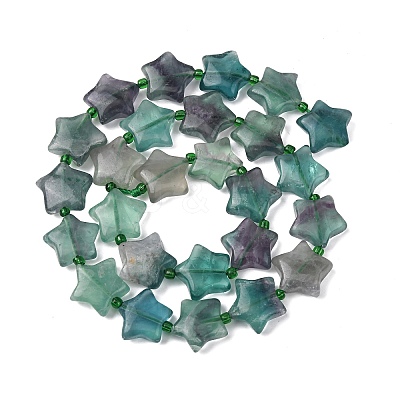 Natural Fluorite Beads Strands G-K359-E14-1
