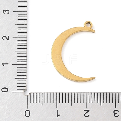 304 Stainless Steel Pendants STAS-R162-03G-07-1