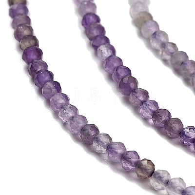 Natural Amethyst Beads Strands G-H321-A01-01-1