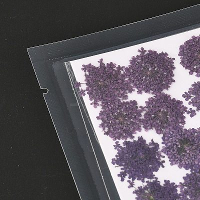 Pressed Dried Flowers DIY-K032-58D-1