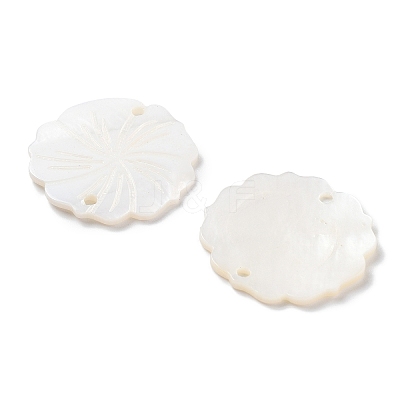 Natural Freshwater Shell Pendants SHEL-D082-14A-1