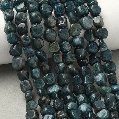 Natural Apatite Beads Strands G-R445-8x10-24A-1