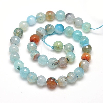 Dyed Natural Agate Faceted Round Beads Strands G-E268-04-1