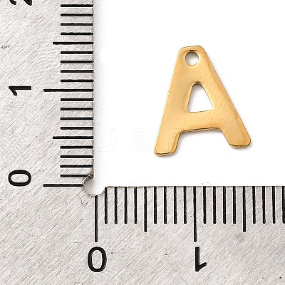 304 Stainless Steel Charms STAS-B093-12G-1