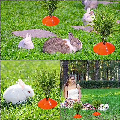Home Garden Decorations AJEW-FH0008-69-1