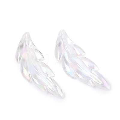 Transparent Plastic Pendants KY-Q005-01A-1