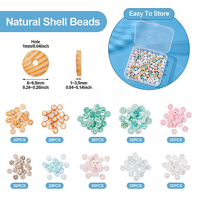 200Pcs 10 Colors Natural Shell Beads Strands BSHE-TA0001-19-1