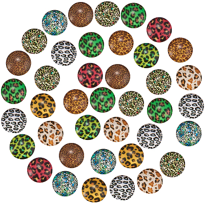 Glass Cabochons GLAA-SC0001-04-1