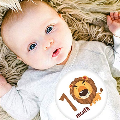 Newborn Monthly Milestone Stickers DIY-H127-B07-1
