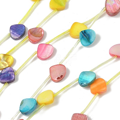 Natural Freshwater Shell Beads Strands SHEL-K006-52A-1