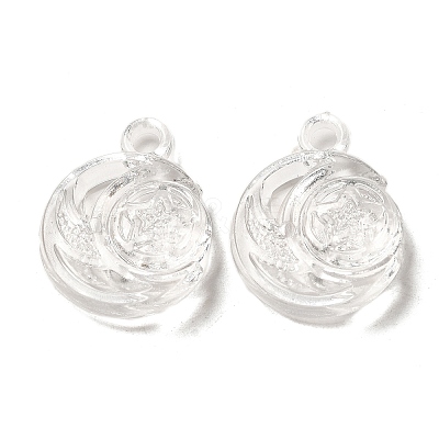 Transparent Acrylic Pendants TACR-G048-20-1