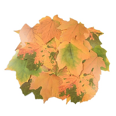 50Pcs Maple Leaf Theme Paper Stickers STIC-P017-C02-1